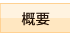 概要